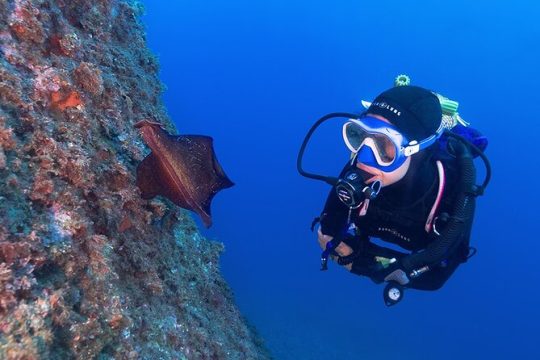 Small-Group Scuba Diving Adventure in Costa Brava