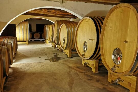 Full day: Wine tour of the Cassis vineyards