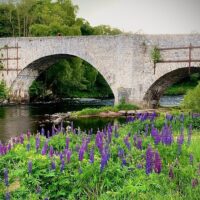 Walking & Biking Tours