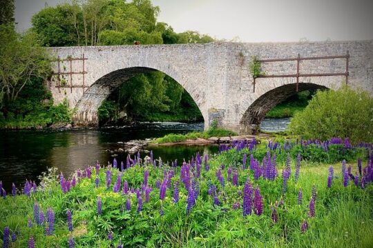 Guided Walks in Grantown-on-Spey