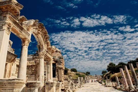 Pompeii and Vesuvius Tickets Included Half Day - Private Tour