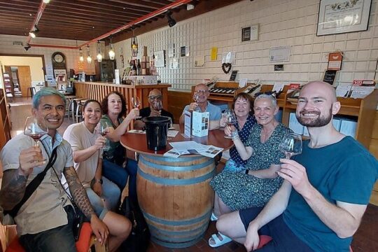 Beaujolais 100% wine tour Small-Group Tour with Tasting from Lyon