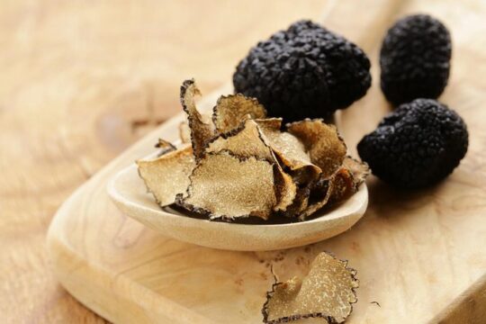 Tuscan Walk and Hunt for Truffles