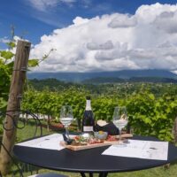 Walking & Biking Tours