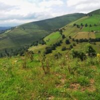 Wine Tasting & Winery Tours