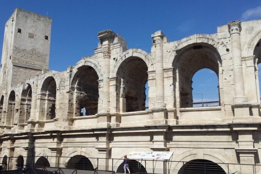 Half-Day Van Gogh Tour of Provence from Avignon
