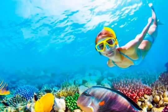 2x1 Tour: Isla Contoy, Isla Mujeres, Open Bar, Lunch and Transfers
