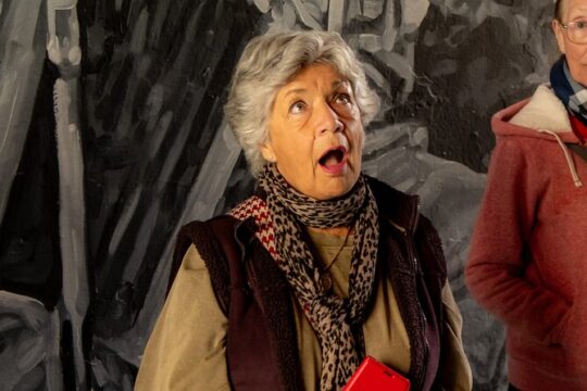 Private Ennis Dark History Tour with Dr Jane O'Brien (1-6 people)