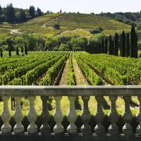 Private & Custom Tours