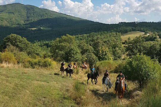 Half-Day Horseback Ride in Tuscany