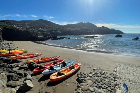 Kayak La Bufadora Blowhole: All Inclusive Private Shore Excursion