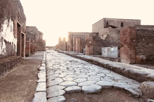 Pompeii Private Tour with expert local guide