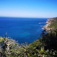 Tours & Sightseeing