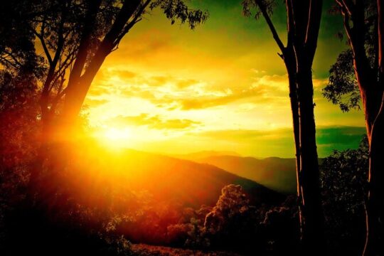 Blue Mountains Day, Sunset Tour & Glow Worms Night Adventure