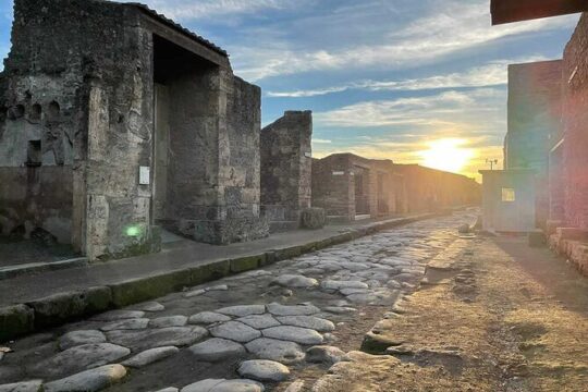 2 Hours Private Tour of Pompeii for Journey Through Time