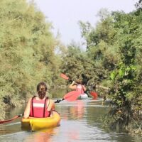Cruises, Sailing & Water Tours