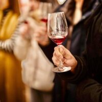 Wine Tasting & Winery Tours