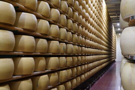 Journey through Italian Cheese