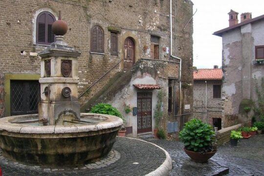 Wine Tour South of Rome