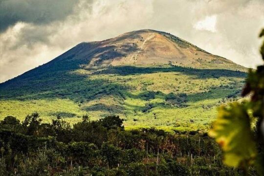 From Naples: Mt. Vesuvius with wine tasting