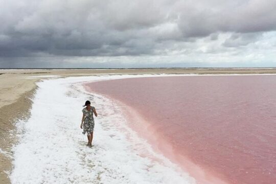 Las Coloradas and Explore Río Lagartos by Boat Ride