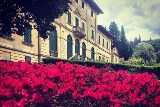 Wine Tasting Activity at Chianti Rufina