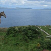Photography Tours