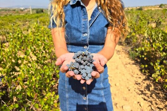 Utiel-Requena Excursion: Uncover the Flavors of Valencia's Wine