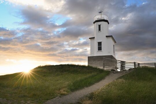 Private Scenic Coastline and Wildlife Tour