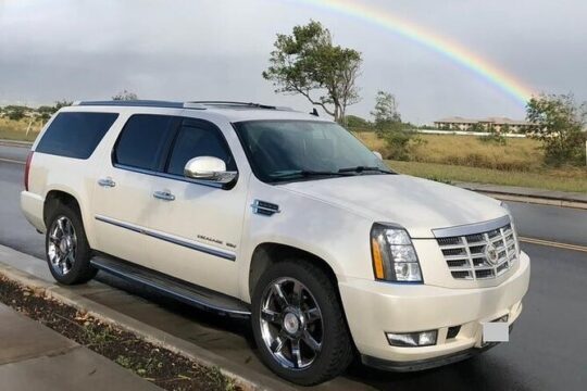 Private Transfer from Melbourne Cruise Port to Melbourne hotels