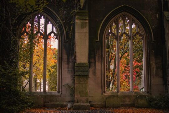 London through the lens: Iconic photo spots, hidden gems & food.