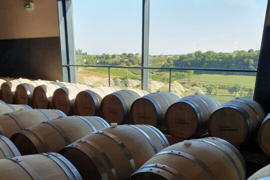 Private tour in Saint-Emilion, médiéval village and wine tasting