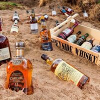 Shore Excursions