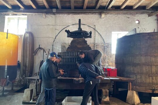 Private Beaujolais wine tour with Michelin-star restaurant lunch