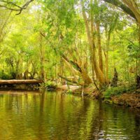 Private & Custom Tours