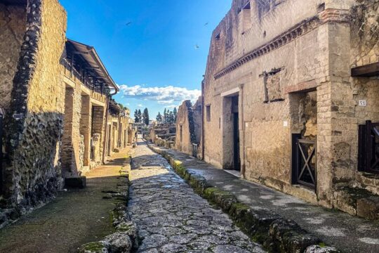 Herculaneum 3D Skip the line Walking Tour