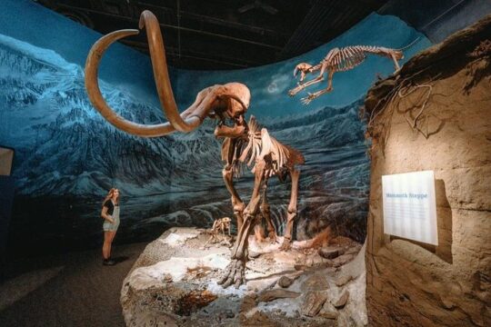 Dinosaur World 1 Day: Drumheller-Badland-Hoodoo-Mine National Historic