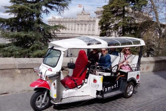 2 Hours Private Tuk tuk Tour in Madrid