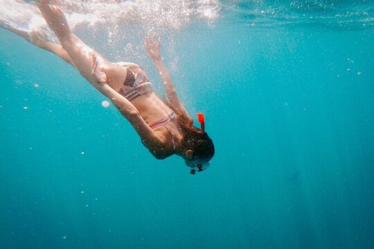 Luxury Snorkel Adventure in Cabo
