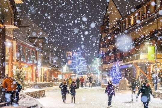 Whistler Tour from Vancouver including HorseshoeBay&Shannon Falls(Mandarin &Eng)
