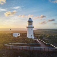 Shore Excursions