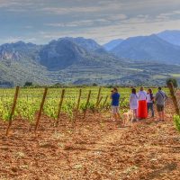 Day Trips & Excursions