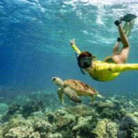 Cruises, Sailing & Water Tours
