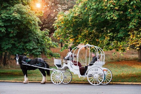 45-Minute By The Park Tour