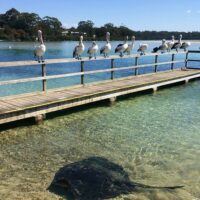 Day Trips & Excursions