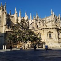 Architecture Tours