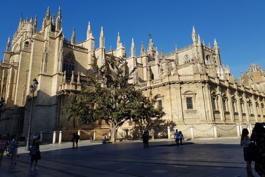 Guided Tour Sevilla Cathedral