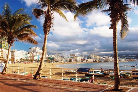 Las Palmas, Botanical Garden & Bandama Crater tour - Gran Canaria