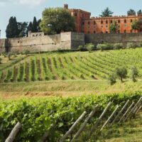 Bus & Minivan Tours
