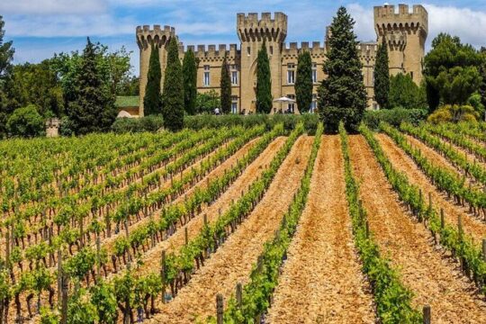 Châteauneuf du Pape Wine Private Tasting Tour From Marseille